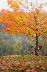 Autumn Bike Ride Herbst Bilder Herbstbilder