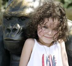 Scientists Aim to Freeze DNA Before Creatures Die Off