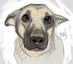 Puppy Eyes By Ej Su On Deviantart Animal Drawings Dog Art Dog Drawing
