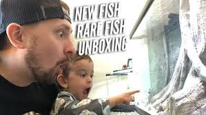 Fish Unboxing: Peacocks from Dave's Rare Fish