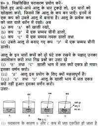 Difference between plant cell and animal cell in hindi. Ncert Solutions For Class 9 Science Chapter 5 The Fundamental Unit Of Life