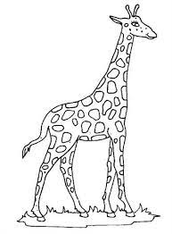 Eine giraffe mit einem langen hals. Kids N Fun De 45 Ausmalbilder Von Giraffe