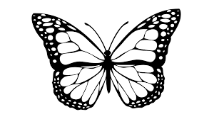 Maybe you would like to learn more about one of these? Motyl Do Wyklejania Plastelina Moje Dzieci Kreatywnie Butterfly Clip Art Butterfly Drawing Butterfly Tattoo Designs