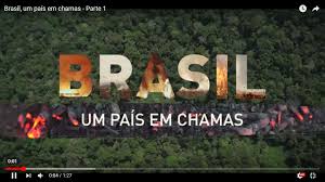 Resultado de imagem para Queimadas na Amazônia