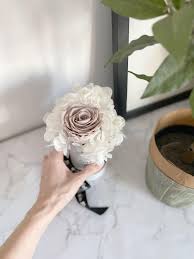 Check spelling or type a new query. Preserved Roses Hydrangeas Flowers Gifts Home Decor Mother S Day Birthday Hari Raya Anniversary Weddings Bridal Shower Valentine S Day Roses Hobbies Toys Stationery Craft Flowers Bouquets On Carousell
