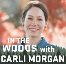 Episode 15: Reforestation