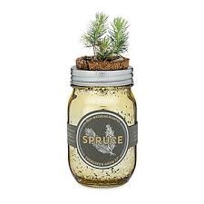 Kitchen Essentials Herb Planter Indoor Herb Planter Grow Herbs Indoors Self Watering Planter Grow Kit Aquaponics