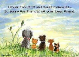 Short prayer for loss of pet. 28 Dogs Prayers For Loss Ideas Dogs Dog Quotes Rainbow Bridge