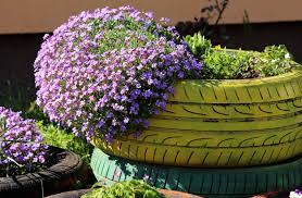 We did not find results for: 13 Best Ground Cover Plants For Your Landscape Hort Zone
