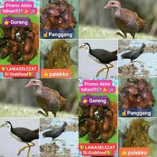 Lawaselezat 5 Manfaat Burung Ayam Ayaman Untuk Kesehatan Facebook