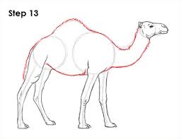 In this drawing lesson we'll show you how to draw a camel in 8 easy steps. How To Draw A Camel