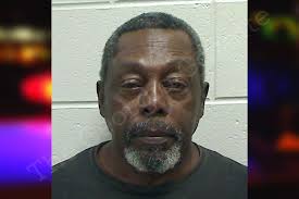 Willis Lewis — Bulloch County Jail Bookings