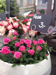 ورد ورود جمال سفر سياحة travel flower table decorations floral wreath decor