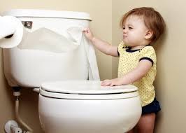 We did not find results for: Basteln Mit Wc Rollen Einfache Bastelanleitung