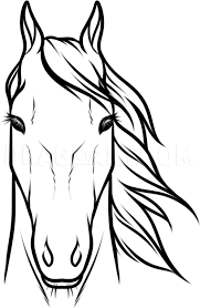 Draw Horse Heads And Faces Step By Step Drawing Guide By Dawn Dragoart Com Horse Head Drawing Easy Horse Drawing Horse Art Drawing