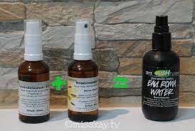 Gurkenscheiben tuen der haut gut. Diy Lush Eau Roma Water Selbstgemachtes Gesichtswasser Misskay Tv Gesichtswasser Gesichtswasser Selber Machen Rosenwasser