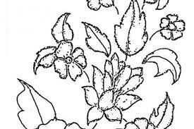 276 Dibujos De Flores Para Colorear Hermosos Disenos Para Darles Color Dibujos Dibujos De Flores Dibujos Para Colorear