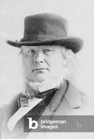 Image of Horace Greeley (1811-1872), 1865 (b/w photo)