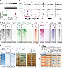 Beberapa aktor ternama pun sempat membuat komentar hak yang serupa terkait. Facultative Dosage Compensation Of Developmental Genes On Autosomes In Drosophila And Mouse Embryonic Stem Cells Nature Communications