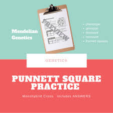 More punnett square practice 112 answer key worksheets. Punnett Practice Worksheets Teaching Resources Tpt