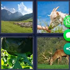 If something is wrong or. 4 Pics 1 Word Daily May 6 2021 Answer Cluest