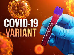 South african scientists have detected a new coronavirus variant with multiple mutations but are yet to establish whether it is more . 1st Case Of South African Covid 19 Variant In Northern Virginia Identified Wfxrtv