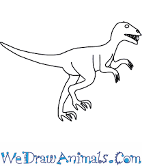 Utahraptor (meaning utah's predator) is a genus of large dromaeosaurid dinosaur that lived in north america during the early cretaceous period. How To Draw An Utahraptor