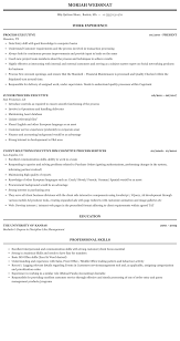 Process Executive Resume Sample Mintresume