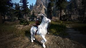 What is your dream horse and what does it look like? First Dream Horse 14fs Blackdesertonline