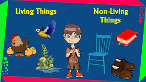 Biological molecules are not like. Living Things And Non Living Things Classnotes Ng