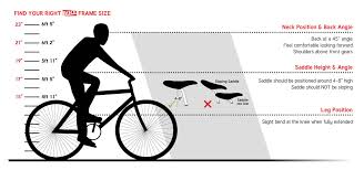 Which Bike Is Right For Me Wilco Motosave