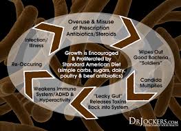 Image result for Buchnera candida