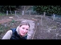 Feste Wege Anlegen Im Beet Youtube
