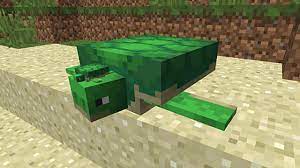In this tutorial, we have built a wall of sand around our turtles to keep them nearby. How To Breed Turtles In Minecraft Minecraft