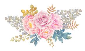 Where does the peony flower get its name? How To Pronounce Peony Flower
