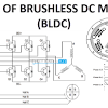 A brushless dc electric motor (bldc motor or bl motor), also known as electronically commutated motor (ecm or ec motor) and synchronous dc motors. 1