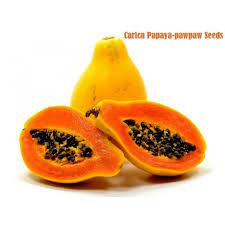 Papaya's benefits include lowering blood sugar, reducing inflammation, and helping with weight loss. Papaya Samen Carica Papaya Preis 2 25