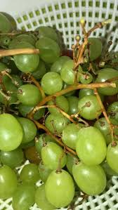 Fake Story Di 2020 Ide Makanan Makanan Palsu Buah