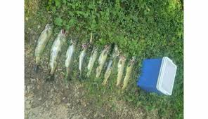 Julia gwyneth ostan sex scandal Pinay viral sex scandal