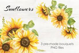 Download Watercolor Sunflowers Bouquets Collection 828388 Illustrations Design Bundles