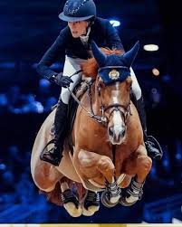 The biggest problem i had with my last pair of tall boots was the zippers broke multiple times, resulting in several trips to my local cobbler. Equifit On Twitter Jessica Springsteen And The Speedy Tiger Lilly Competing In Brown Black Ostrich Dark Brown Ostrich D Teq Boots Efcustomlab Teamequifit Jessicaspringsteen Esther Bukkems Jossanelia Pc Cecileablayrolles Https T Co