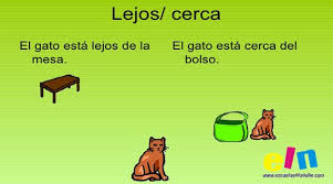 Descarga la app juegos preescolar para niños y disfrútala en tu iphone, ipad o ipod touch. Matematica 1 Y Su Didactica Nociones Cerca Lejos Encima Debajo Para La Ubicacion De Objetos