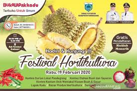 Guru agribisnis tanaman pangan dan holtikultura pertama. Distan Pandeglang Siap Gelar Festival Hortikultura 2020 Antara News Banten