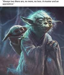 Baby Yoda On Instagram Always Two There Are Follow Babyyoda I Am For More Cuteness Share Baby Yoda Wit Star Wars Pictures Star Wars Memes Star Wars Images