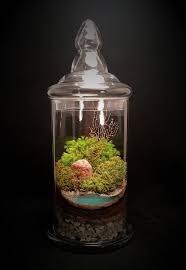 Excited To Share The Latest Addition To My Etsy Shop Large Terrarium Terrarium Gift Terrarium Ce Large Terrarium Landscaping With Rocks Terrarium Gifts