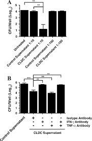 Protection from Pneumonic Infection with Burkholderia Species by  Inhalational Immunotherapy