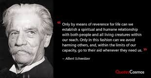 Albert Schweitzer Quotes, Page 3