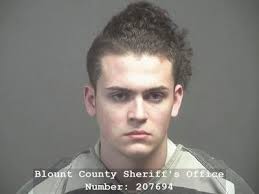 Greenback man charged with multiple drug-related offenses