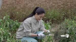 Những hình ảnh mới nhất trong tập 40 đã được hé lộ, trong đó đáng chú ý nhất là cảnh châu ( hồng diễm ) trở về gặp kiên (hồng đăng). Fdbnwk26wra Hm