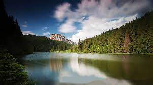 Coborare de la lacul rosu catre cheile bicazului.duminica 23.05.2010,multumim lamitza. Cheile Bicazului Lacul RoÈ™u Piatra NeamÈ› 39 99 Euro Panda Tour